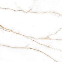 Керамогранит Geotiles Brera Gold Compacglass 60x60 фото