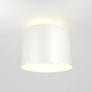 Потолочный светильник Maytoni Technical C009CW-L12W фото