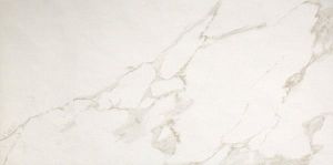Керамогранит FAP Ceramiche fPP5 Roma Calacatta 50х120 фото