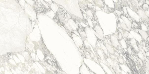 Керамогранит Ariostea Marmi Classici PL612513 Arabescato Classico Luc Ret 120x60