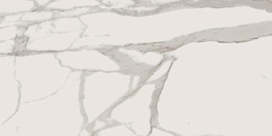 Italon Керамический гранит Charme Evo Floor Project Керамогранит Calacatta 60x120 натуральный фото