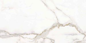 Керамогранит Ava Ceramica Marmo E Pietra Calacatta Oro Lap/Rett 60х120 фото