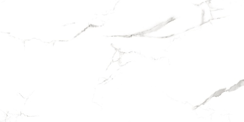 QUA Granite Bianco River 120x60 белый полированная фото 6