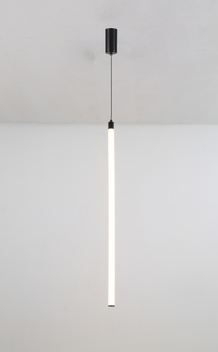 Подвесной светильник Maytoni Technical P022PL-L20B3K фото 3