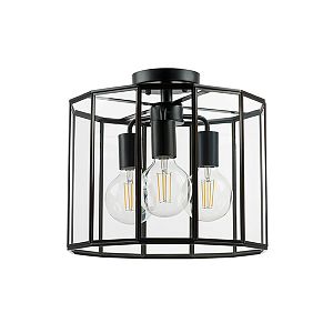 Люстра на штанге Lightstar 798237 фото