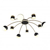 Накладная люстра F-Promo 3096-10P фото