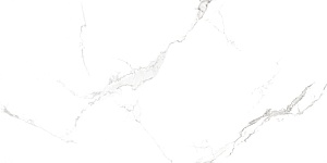 QUA Granite Bianco River 120x60 белый полированная фото