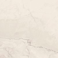 Керамогранит Lafaenza Ceramica Trex 120W RM White 120x120 фото