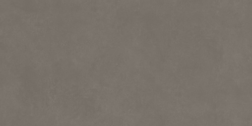 BIEN Concept Grey 120x60 серый матовая фото 6