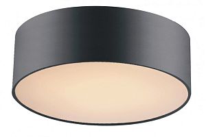 Накладной светильник Favourite 1514-2C1 фото