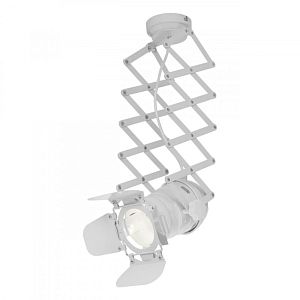 Спот LOFT IT LOFT3096-M фото