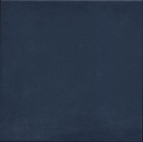 Керамогранит 1900 - 20x20 Azul g.136 фото