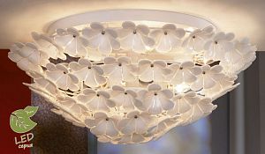 Накладной светильник Lussole GRLSA-5107-09 фото