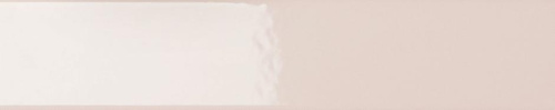 Плитка 4100724 Rose Glossy 5x25