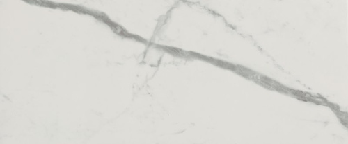 Плитка fQCS Roma Gold Carrara Superiore Brillante 50х120