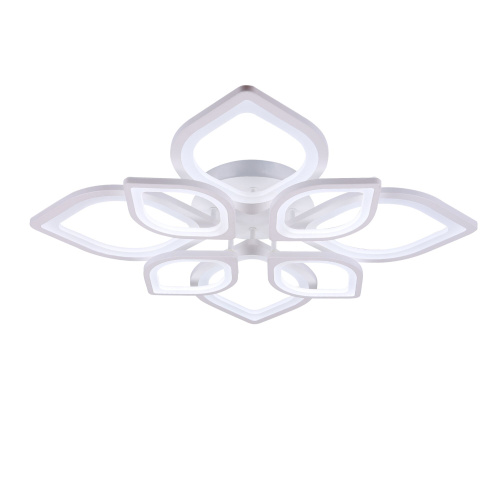 Потолочный светильник Freya FR6015CL-L84W фото 3