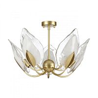 Люстра на штанге Odeon Light 4924/5 фото