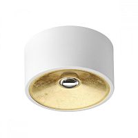 Накладной светильник Odeon Light 3892/1C фото
