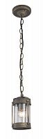 Подвесной уличный светильник Favourite 1497-1P фото