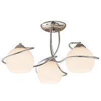 Люстра на штанге Citilux CL155131 фото