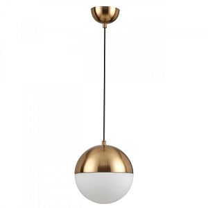 Подвесной светильник Odeon Light 4960/1A фото