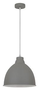 Подвесной светильник ARTE Lamp A2055SP-1GY фото