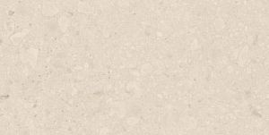 Керамогранит Argenta Flodsten 8435592032955 Artic Matt 60x120 CB UNGL фото