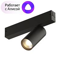 Светильник на шине Denkirs DK8010-BK фото