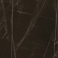 Керамогранит Lafaenza Ceramica TREX 60N LP Black 60x60 фото