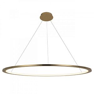 Подвесной светильник LOFT IT 10014XXL фото