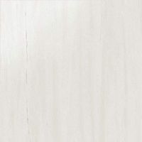 Керамогранит AZRI Marvel Bianco Dolomite Lappato 60x60 фото