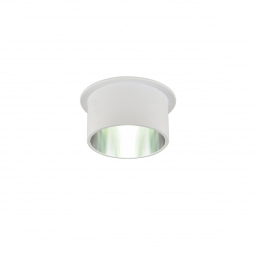 Накладной светильник Favourite 3062-1C