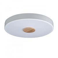 Накладной светильник LOFT IT 10003/24 White фото