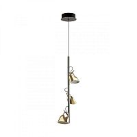 Подвесной светильник Odeon Light 5002/13L фото