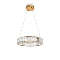 Подвесная люстра Freya FR5257PL-L17G фото