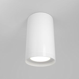 Потолочный светильник Maytoni Technical C052CL-01W фото