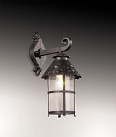 Светильник настенный Odeon Light 2313/1W фото