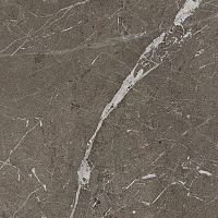 Керамогранит Imola The Rock Breimp6120Rm 120х120 фото