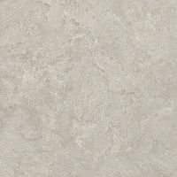 Керамогранит Creto 8160 Shell LB 60х60 фото
