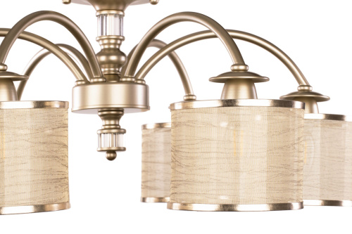 Потолочный светильник Freya FR2539CL-06G фото 3