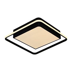 Потолочный светодиодный светильник Moderli Silectra V1012-CL фото