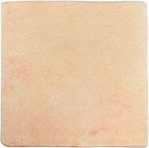 Керамогранит WOW Roots 128197 Sand L 22х22 фото