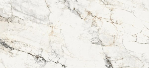 Керамогранит Lafaenza Ceramica Aesthetica AE PAO6 260 LP 260x120