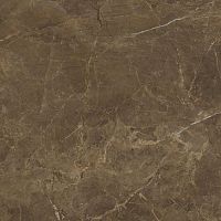 Керамогранит Cerrad Rapid Brown 60x60 фото