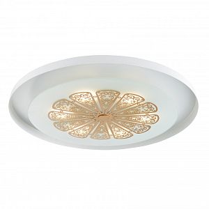 Накладной светильник Favourite 2602-5C фото