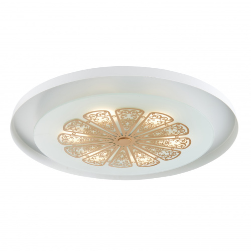 Накладной светильник Favourite 2602-5C