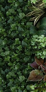 Керамогранит 41ZERO42 Paper41 Pro 4100151 Jane A 50х100 фото