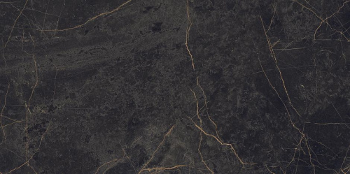 Керамогранит Ariana PF60004299 Epoque Black Lap 60x120