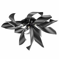 Накладная люстра Lightstar 754167 фото