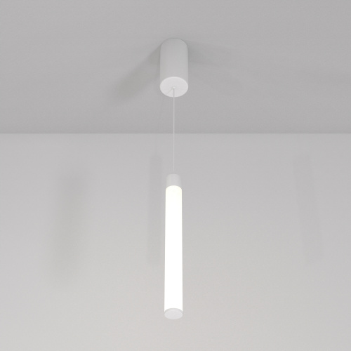 Подвесной светильник Maytoni Technical P022PL-L10W